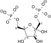 Beta D Fructose 12c6 Bisphosphate Wpmp.png