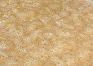 Fermenting.jpg
