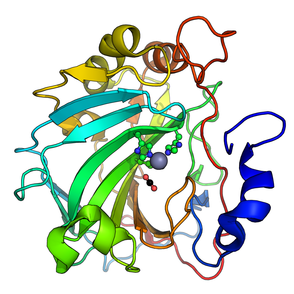Human Carbonic Anhydrase Ii Pdb3d6lux.png