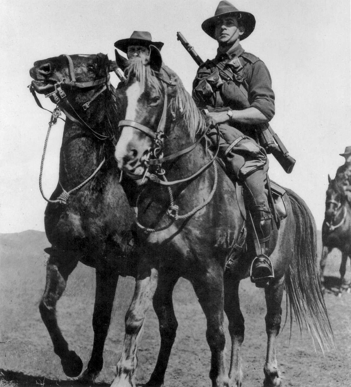 Light Horse Walers.jpg