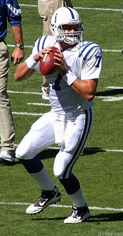 250px Curtis Painter.jpg