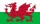 40px Flag of Wales.jpg